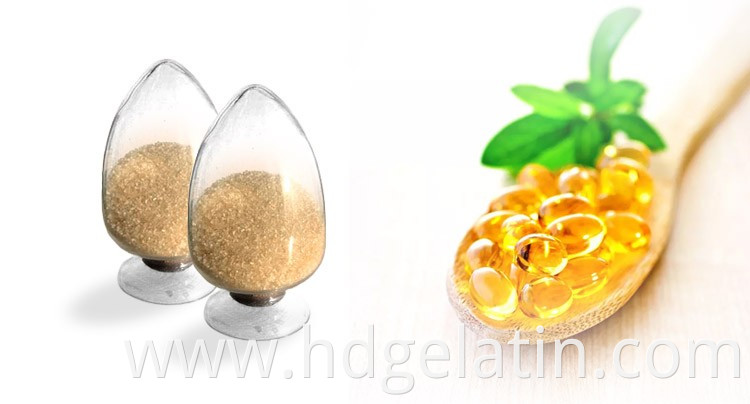 Hot sell high bloom pharmaceutical gelatin for empty hard gelatin capsules